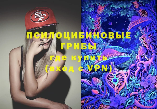 ALPHA-PVP Алексин