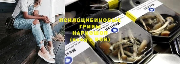 дживик Алексеевка