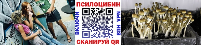 Псилоцибиновые грибы MAGIC MUSHROOMS  OMG зеркало  Мостовской  наркотики 
